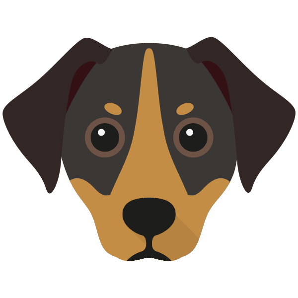 Jackshund
