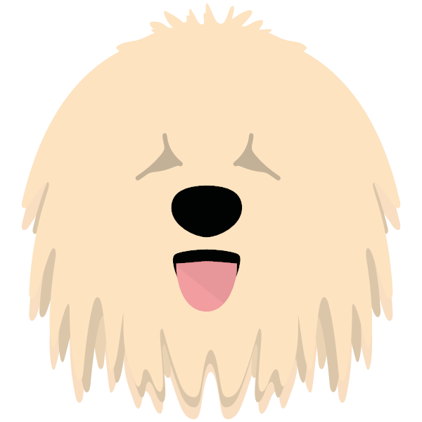Komondor