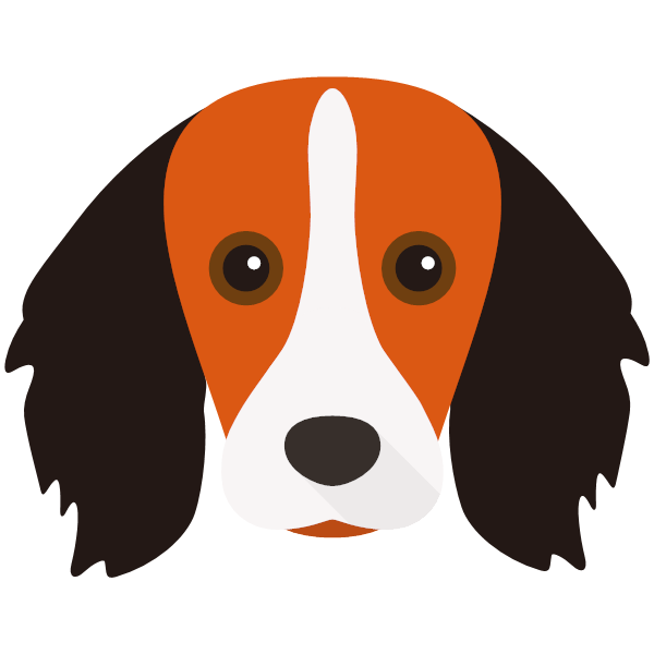 Kooikerhondje