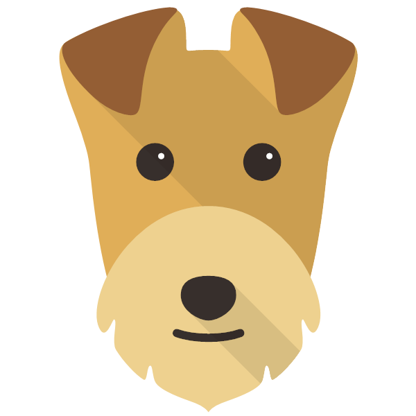Lakeland Terrier