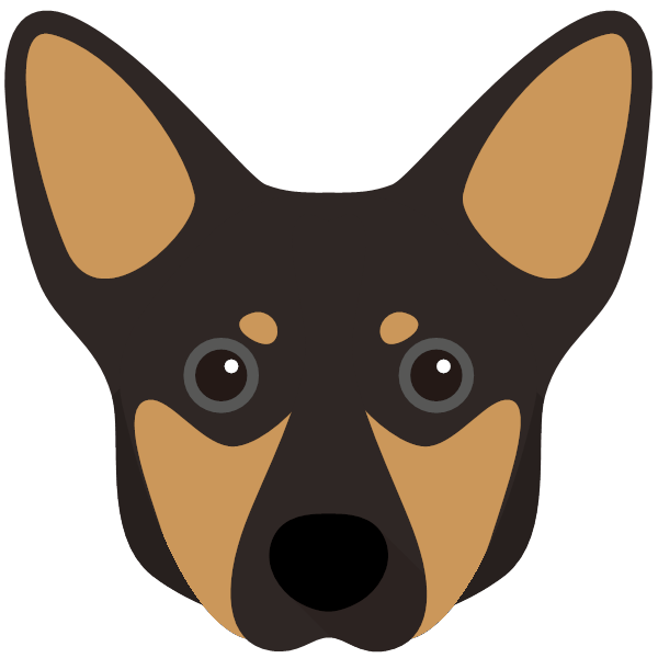 Lancashire Heeler