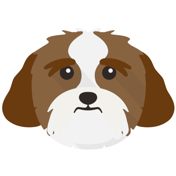 Lhasa Apso