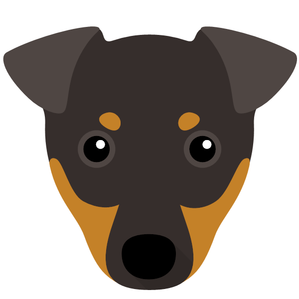 Manchester Terrier