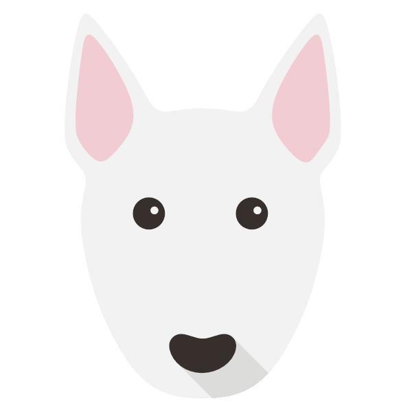 Miniature Bull Terrier