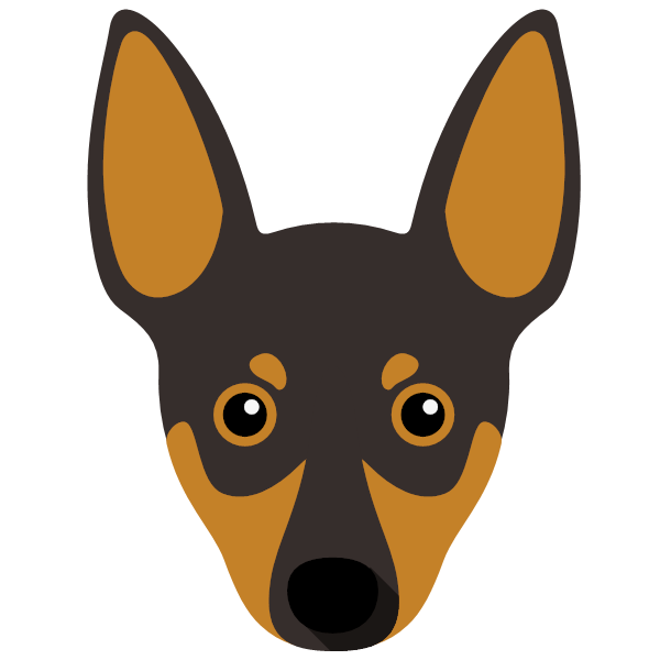 Miniature Pinscher