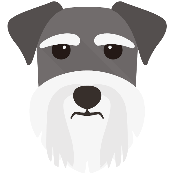 Miniature Schnauzer