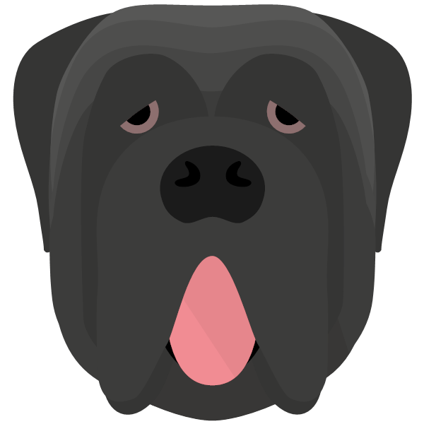 Neapolitan Mastiff