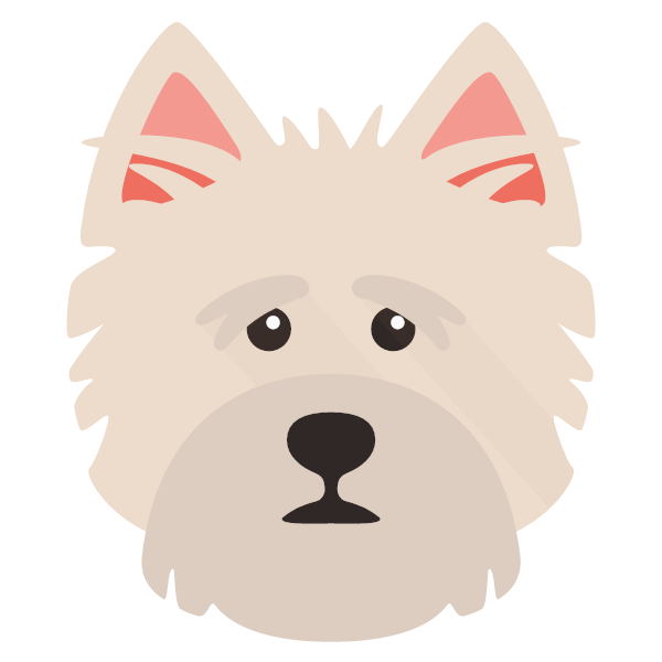 Norwich Terrier