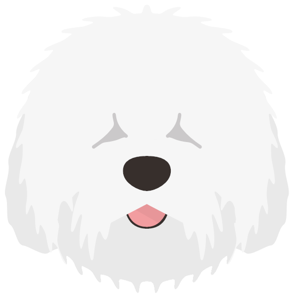 Old English Sheepdog
