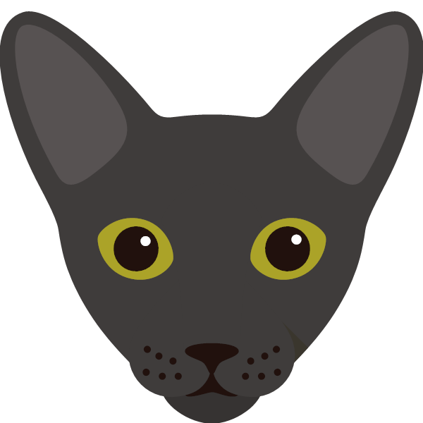Oriental Shorthair