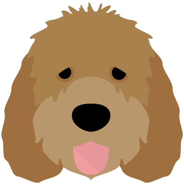 Otterhound