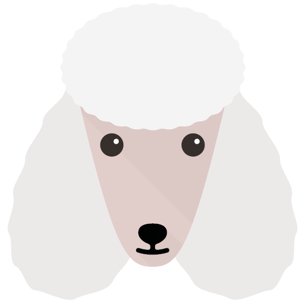 Poodle