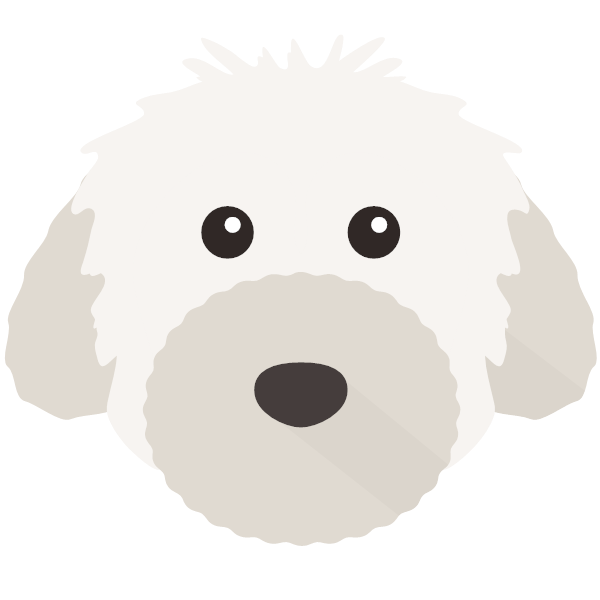 Powderpuff Chinese Crested