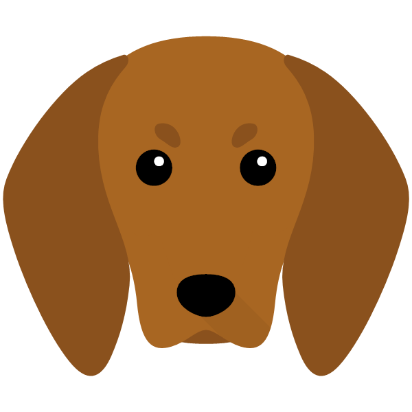 Redbone Coonhound