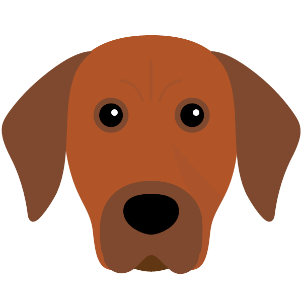 Rhodesian Ridgeback