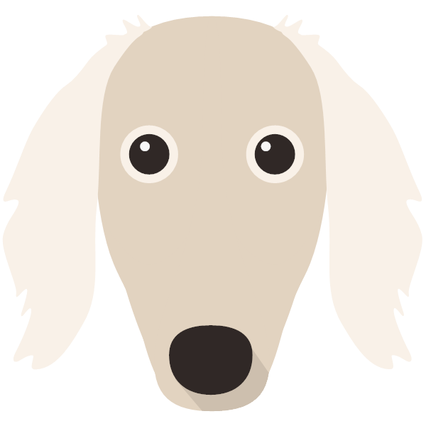 Saluki