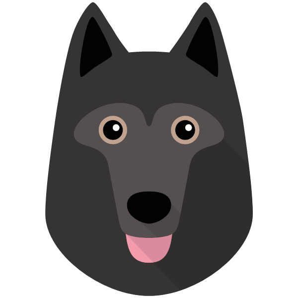 Schipperke