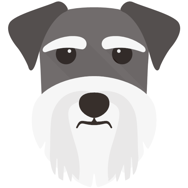 Schnauzer