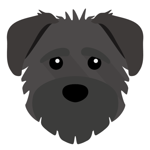 Schnoodle