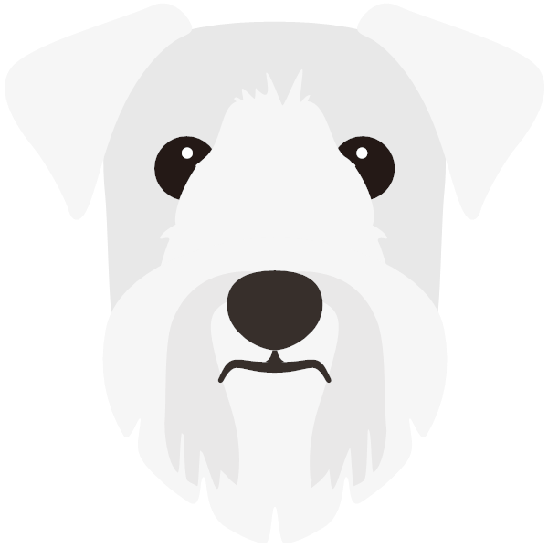 Sealyham Terrier