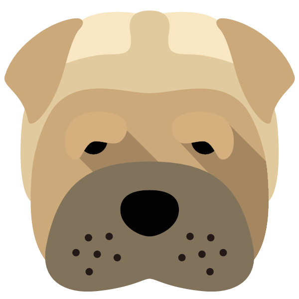 Shar Pei