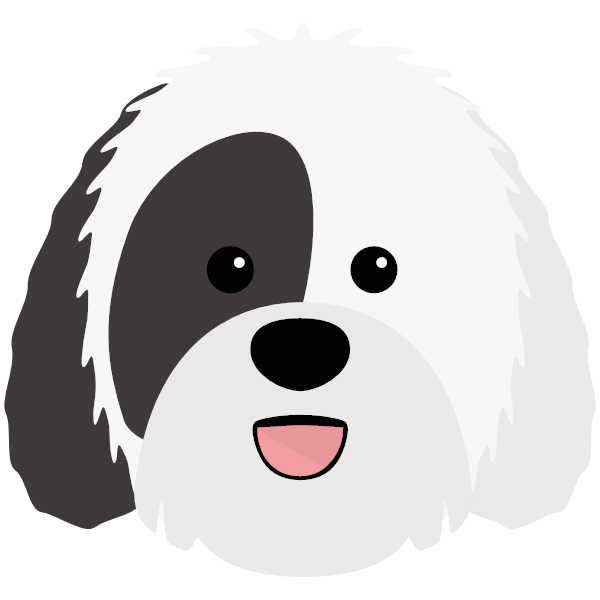 Sheepadoodle