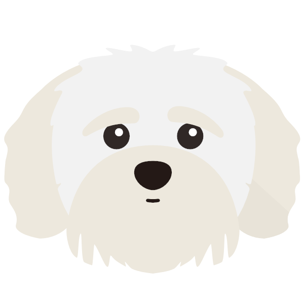 Shih-poo