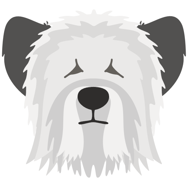 Skye Terrier