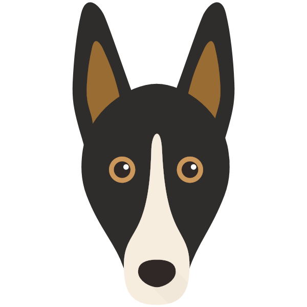Smooth Collie
