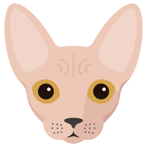 Sphynx