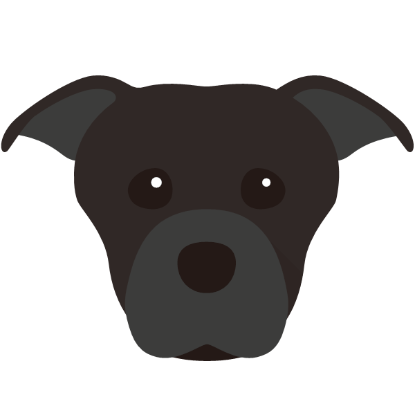 Staffordshire Bull Terrier