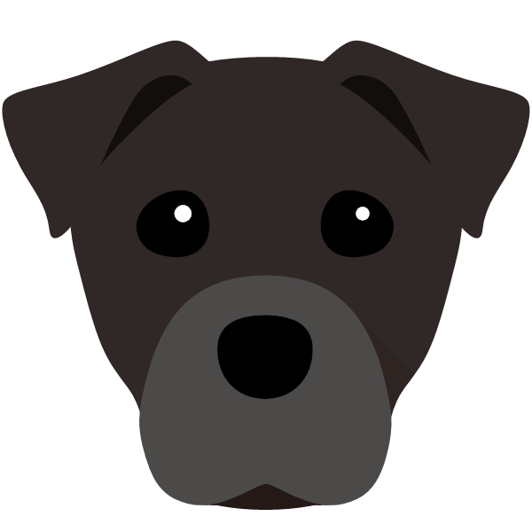 Staffy Jack