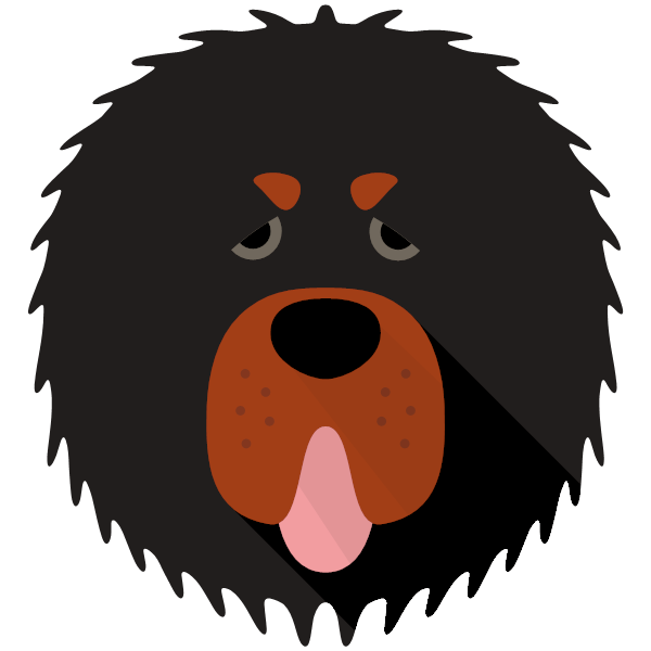 Tibetan Mastiff