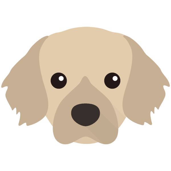 Tibetan Spaniel