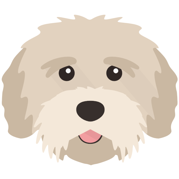 Tibetan Terrier