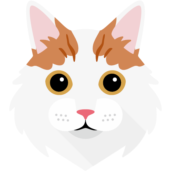 Turkish Van