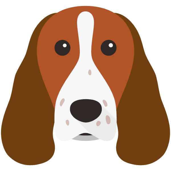 Welsh Springer Spaniel