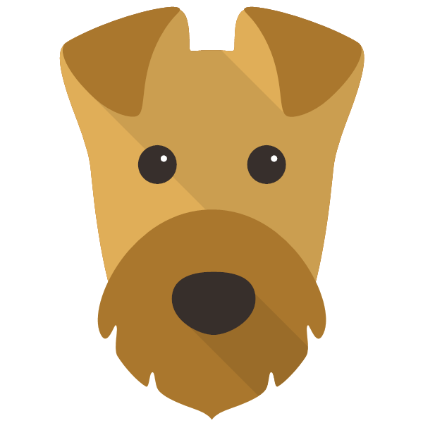 Welsh Terrier