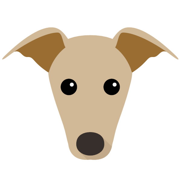 Whippet