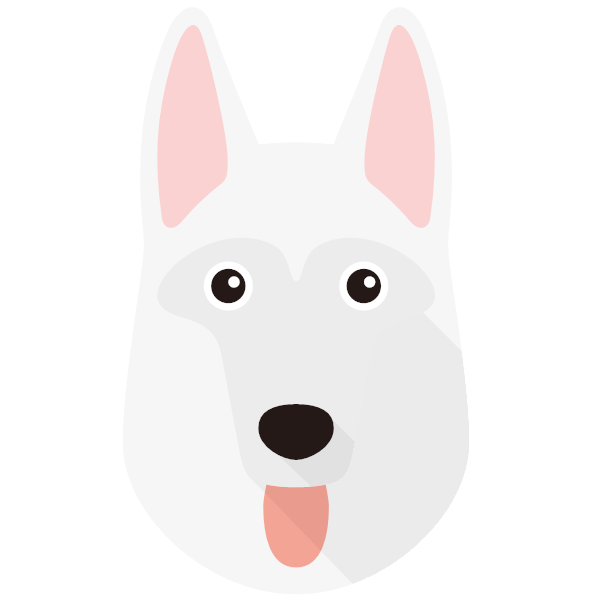 White Swiss Shepherd Dog