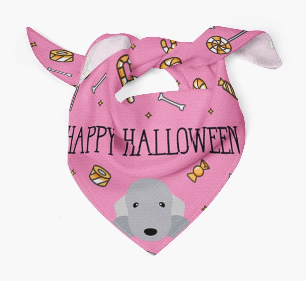 'Happy Halloween' Bandana for your {breedFullName}
