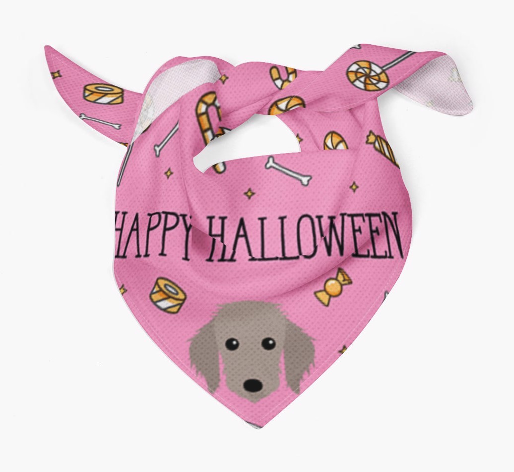 'Happy Halloween' Bandana for your {breedFullName}