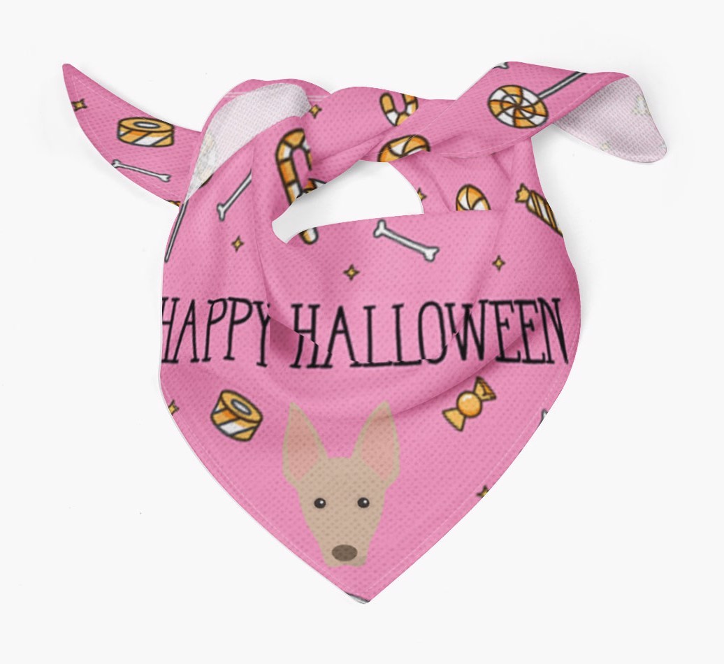 'Happy Halloween' Bandana for your {breedFullName}