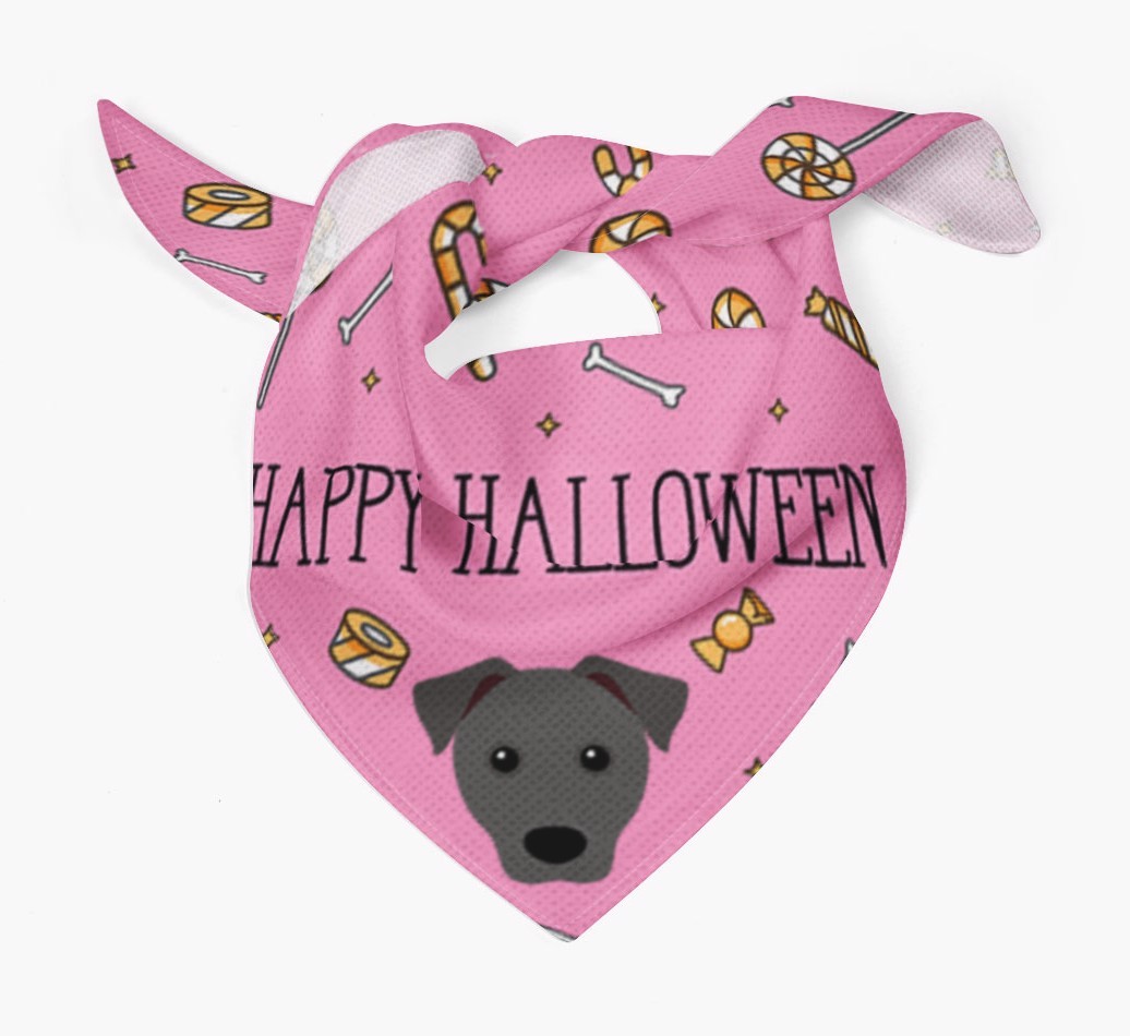'Happy Halloween' Bandana for your {breedFullName}