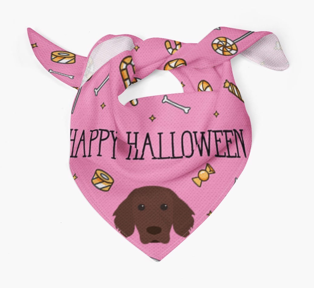 'Happy Halloween' Bandana for your {breedFullName}