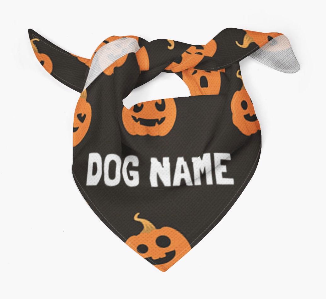 Personalized 'Pumpkin' Bandana for your {breedFullName}