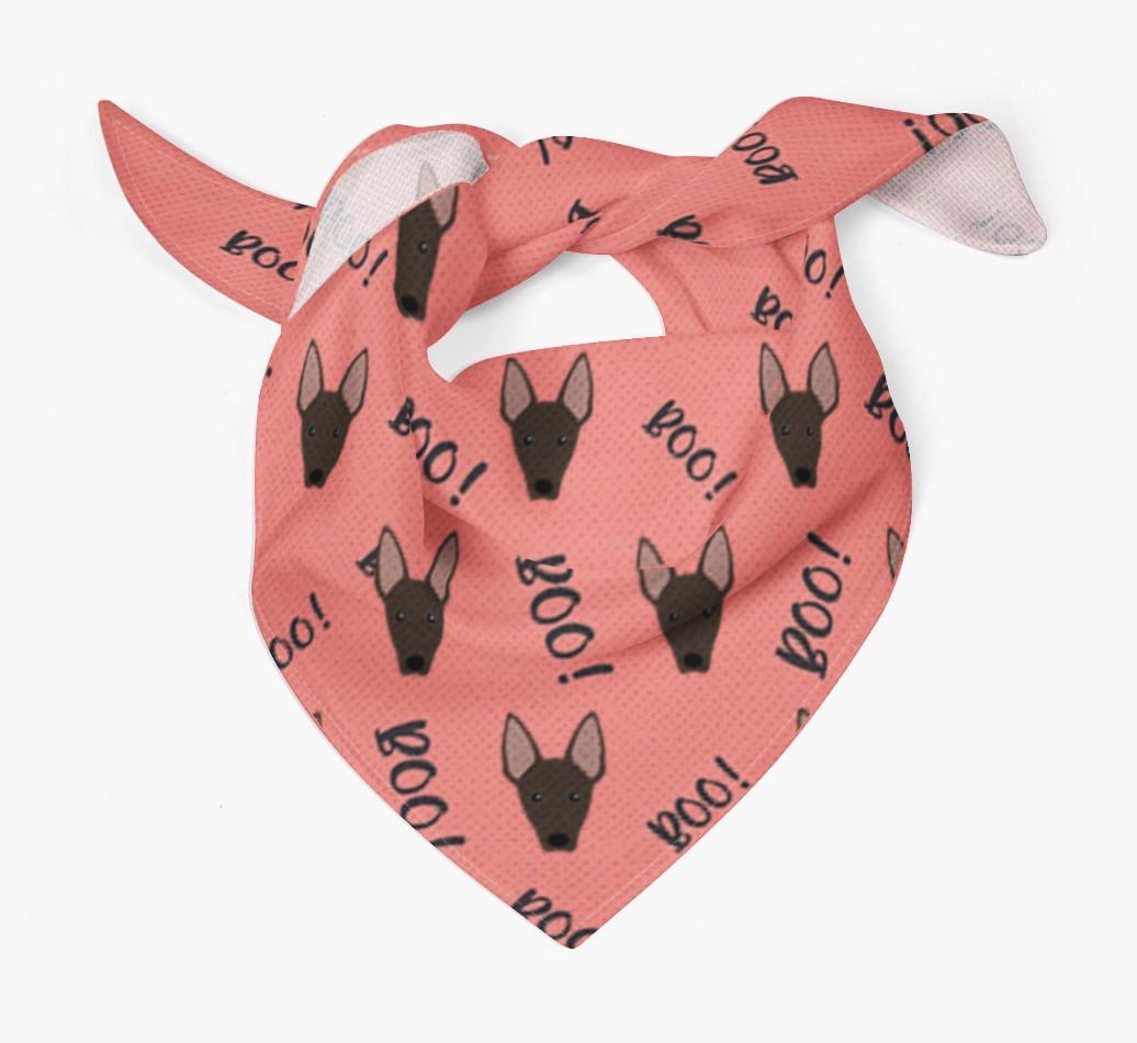 Boo! : Personalized {breedFullName} Bandana 