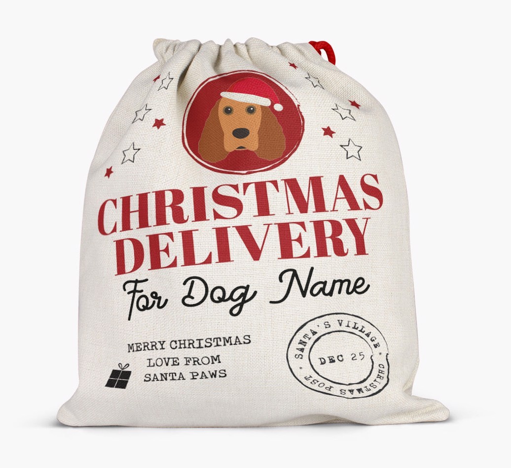 Personalized 'Christmas Delivery for {dogsName}' Santa Sack