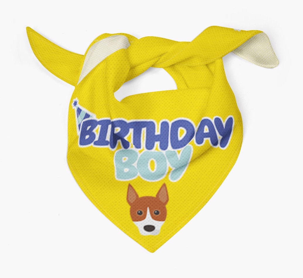 Birthday Boy : Personalised {breedFullName} Bandana