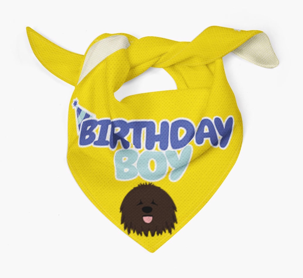 Birthday Boy : Personalised {breedFullName} Bandana